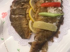 -骏莱海鲜鱼港(五角场店)