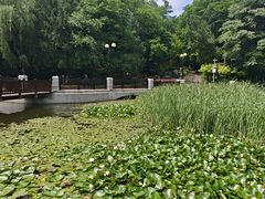-大连植物园