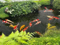 -罗红摄影艺术馆