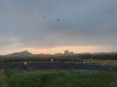-光明小镇欢乐田园