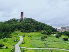 -红花山公园