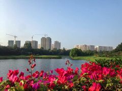-观澜湖高尔夫球会