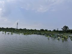 -江门古劳水乡旅游区