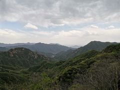-大岭沟猕猴桃谷风景区