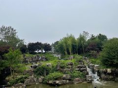 -秀丽东方