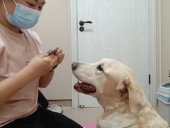 -立德动物医院·重症转诊·24H夜诊·CT·心脏彩超(顺德中心分院)