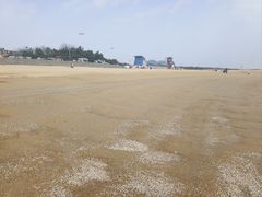 -日照海滨国家森林公园