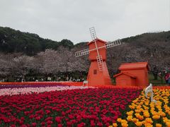 -苏州上方山国家森林公园