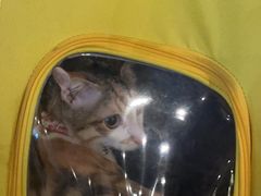 -DGE季风钓虾营地·团建·聚会