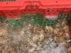 -坛南湾阿强农家乐.海鲜大排档老字号(福州地标美食店)
