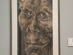 -清华大学艺术博物馆