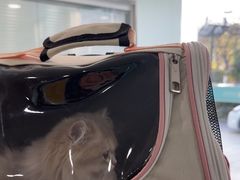 -佳雯宠物医院·皮肤科·内外科(春晓路分院)