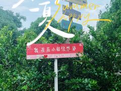 -前小桔亲子创意农场·草莓采摘·露营烧烤