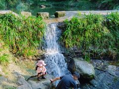 -素山寺森林公园