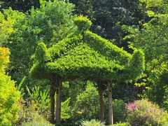 -云溪植物园