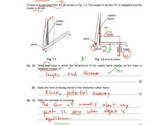 -JT PREP国际学科课程·IB·AP·Alevel(陆家嘴校区)