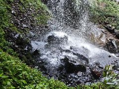-龙苍沟森林公园