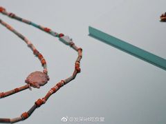 -浙江西湖美术馆