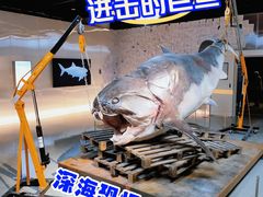 -凤凰中心
