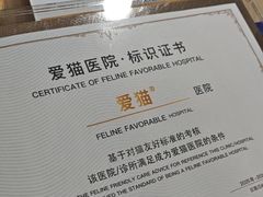 -宠颐生宠物医院·异宠猫科内科·诊疗中心宠巢店