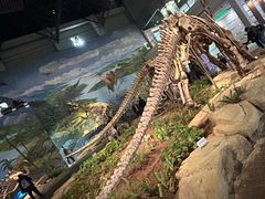 -自贡恐龙博物馆