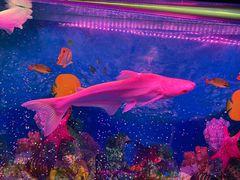 -大明湖海底世界