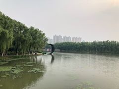 -昆山城市生态森林公园