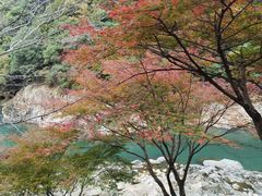 -岚山嵯峨野观光小火车