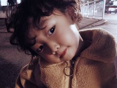-三里屯东五街银杏大道