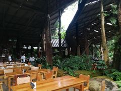 -绿光森林餐厅