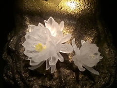 upload_pic-上海琉璃艺术博物馆