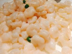清炒河虾仁-和记小菜(七宝店)