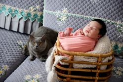 -星豆豆儿童摄影(南郊太白南路店)