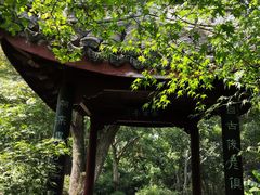 -上海醉白池公园