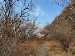 -妙峰山风景名胜区