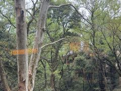 -拾溪餐厅·包厢(杭州千禧度假酒店)