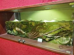 -食欲老院子荆芥疙瘩汤(经五路店)