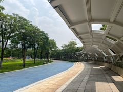 -顺峰山公园