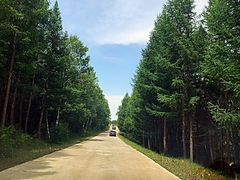 android_upload_pic-木兰围场