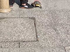 -苏州图书馆(人民路总馆)