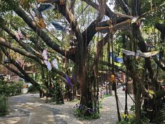 -台山颐和温泉城