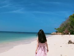 -东姑阿都拉曼海洋公园