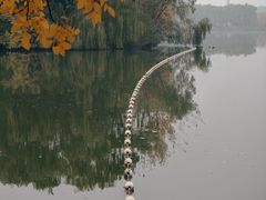 -大兴滨河森林公园