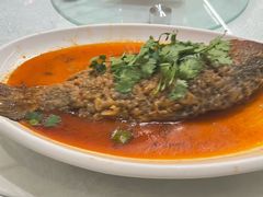 -真定郝家排骨(正定县总店)