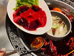 鲜鸭血-晓宇重庆火锅(赛格国际购物中心店)