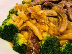 鲍汁扒关西参-新兴家喻酒家·羊城名宴(昌岗店)