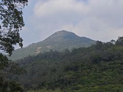 -清溪森林公园
