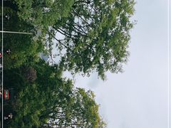 -九曲溪竹筏码头