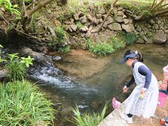 -宁波浙东大竹海景区