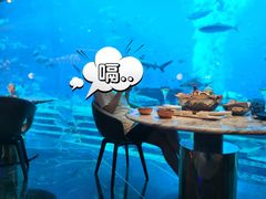 -亚特兰蒂斯•OSSIANO奥西亚诺海底餐厅